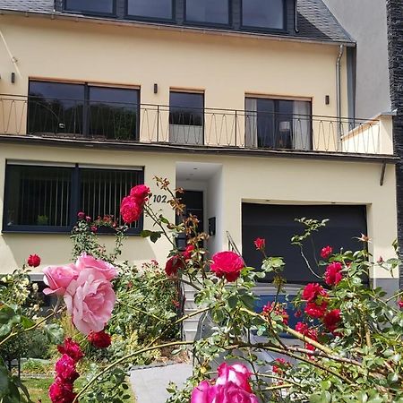 Ferienwohnung "Zum Klosterruinenblick" Креф Екстер'єр фото