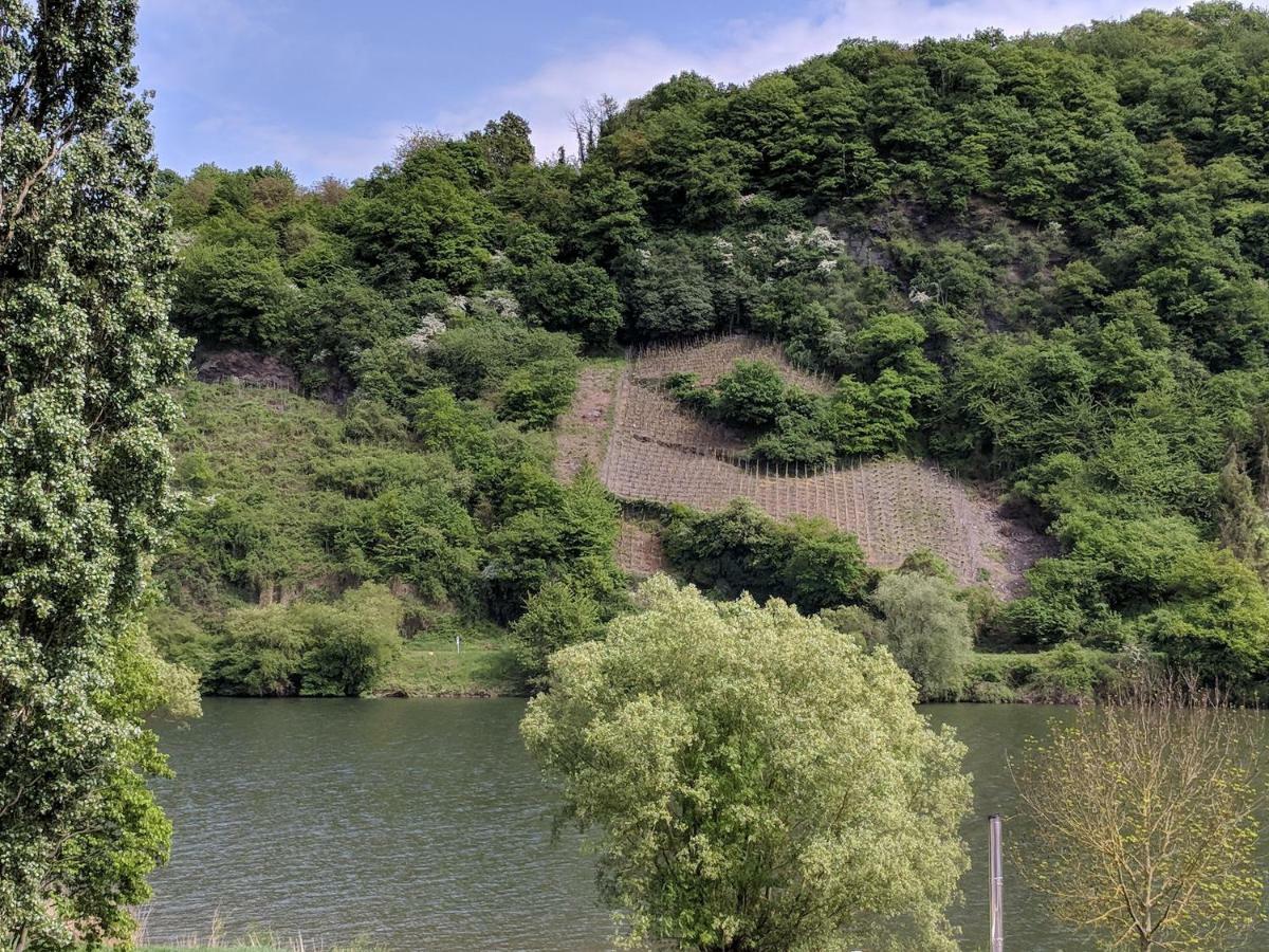 Ferienwohnung "Zum Klosterruinenblick" Креф Екстер'єр фото
